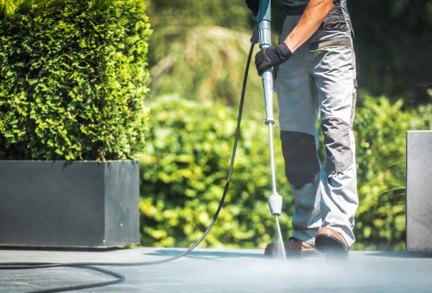 Best Gutter Cleaning  in Plainview, NY